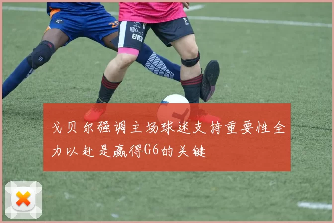 戈贝尔强调主场球迷支持重要性全力以赴是赢得G6的关键