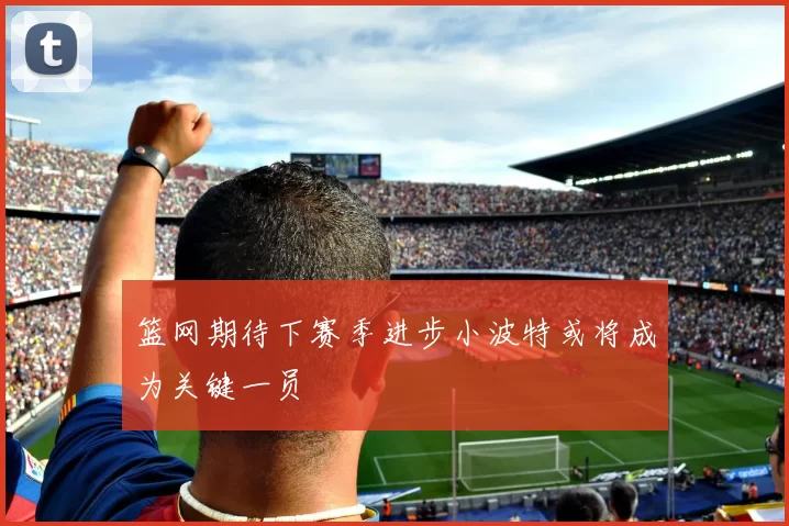篮网期待下赛季进步小波特或将成为关键一员