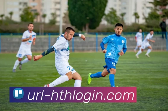 华体会体育APP 封面图